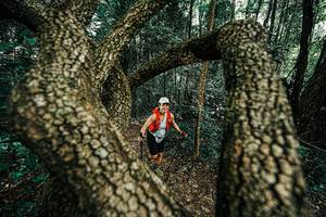 BIB: 
                            <button type="button" onclick="openModal(25392697)" class="btn btn-primary btn-sm float-right btn-popup" data-toggle="modal" data-target=".modal-high-quality">
                        <i class="fas fa-shopping-cart"></i> Add to Cart
                    </button>
                                            <button type="button" onclick="isThisMe(25392697, true)" class="btn btn-success btn-sm float-right btn-popup btn-isme hidden" data-toggle="tooltip" data-placement="bottom" title="นี่คือรูปของคุณใช่ไหม คลิกที่นี่เพื่อเอาเข้าอัลบั้ม">
                        <i class="fas fa-plus"></i> Add to album
                    </button>
                    <button type="button" onclick="isThisMe(25392697, false)" class="btn btn-warning btn-sm float-right btn-popup btn-isnotme hidden">
                        <i class="fas fa-ban"></i> Remove from album
                    </button>